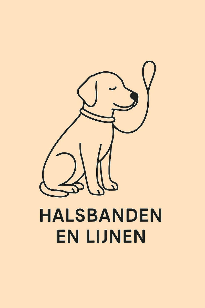 Halsbanden en lijnen