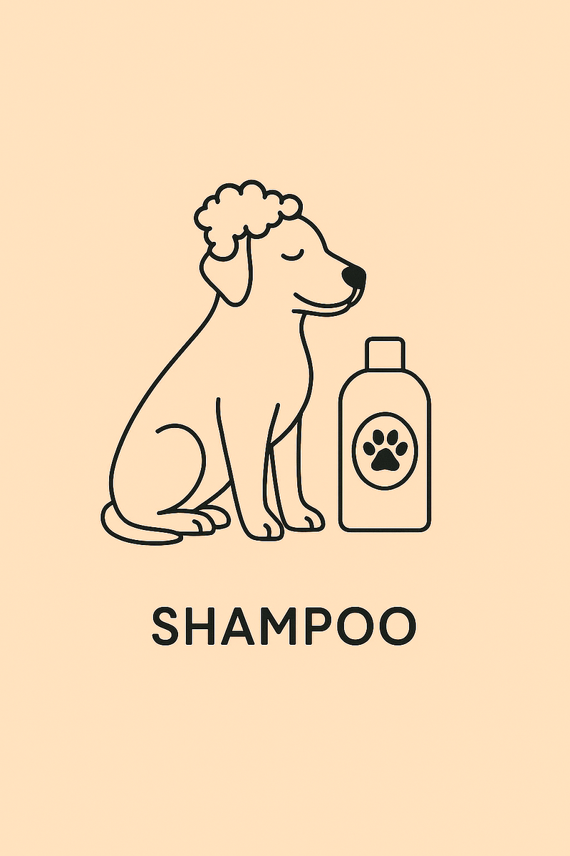 HOND > SHAMPOO