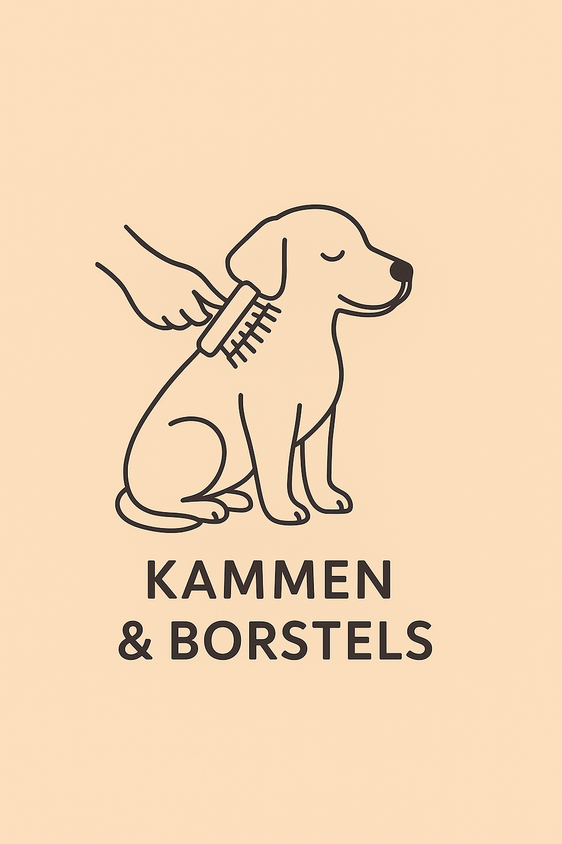 Kammen en Borstels