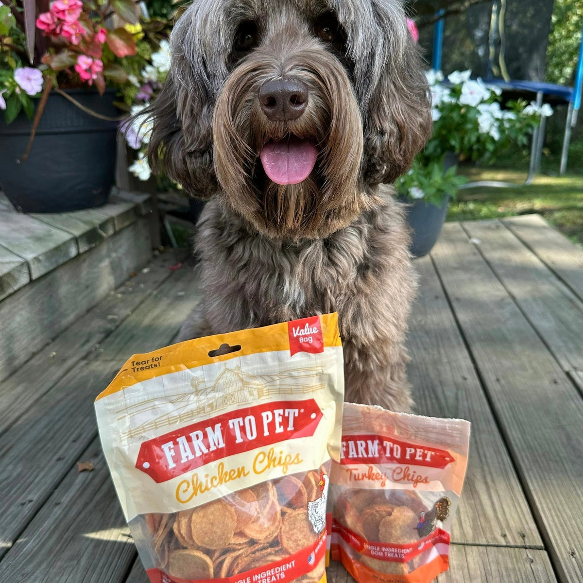 Snacks