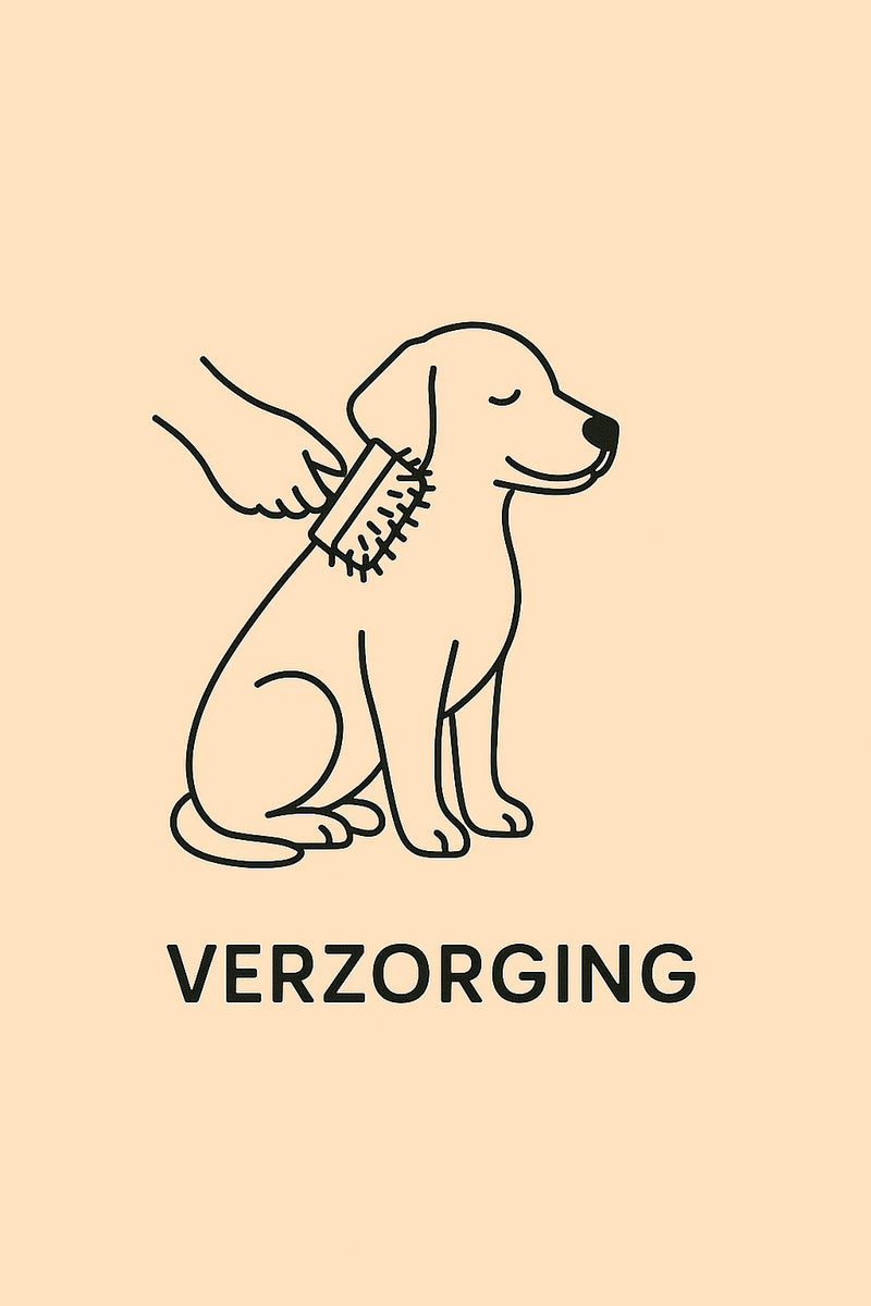 Verzorging