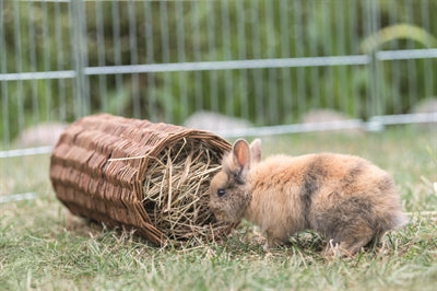 Trixie Wilgentunnel Konijn