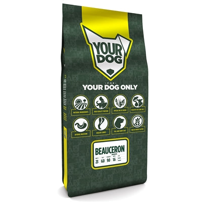 Yourdog Beauceron Senior