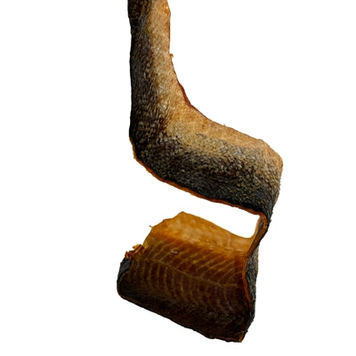 Freds Zalmhuid Blafstastische Hondensnack