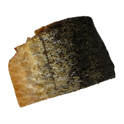 Freds Zalmhuid Blafstastische Hondensnack
